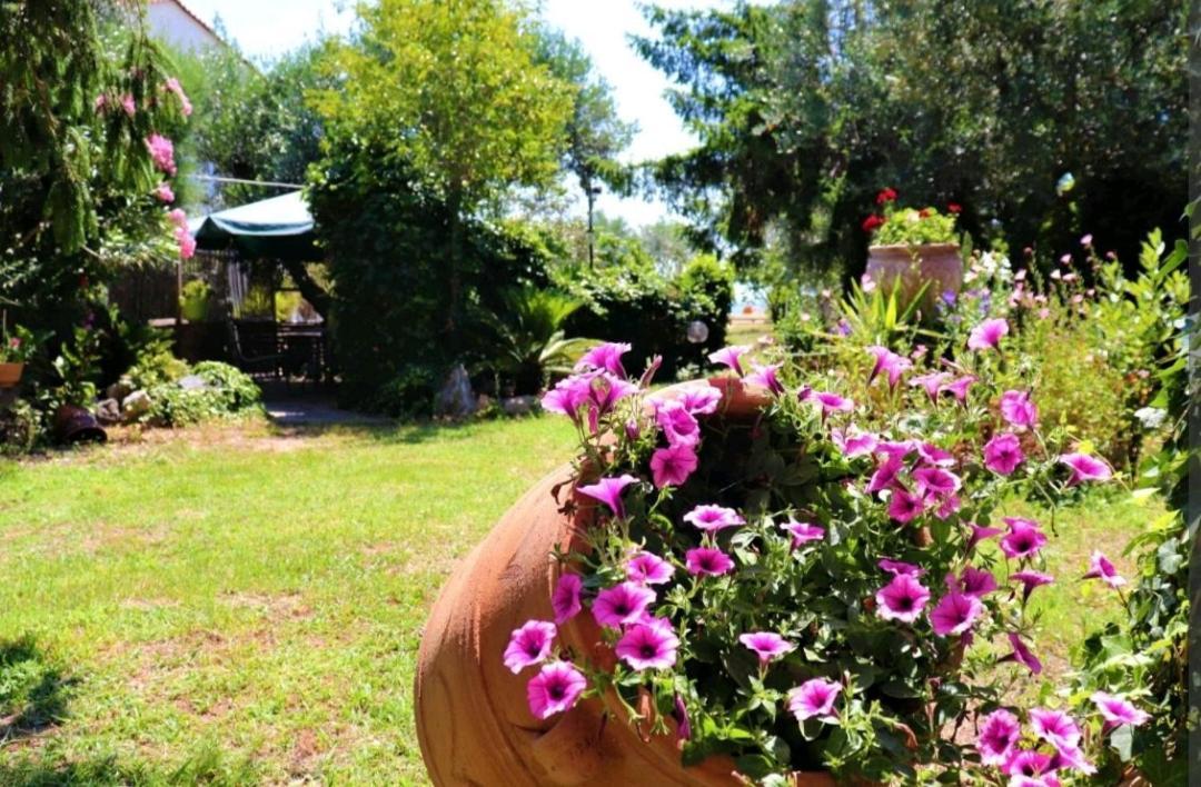 House By The Sea 2 Apartment Nea Iraklitsa Bagian luar foto